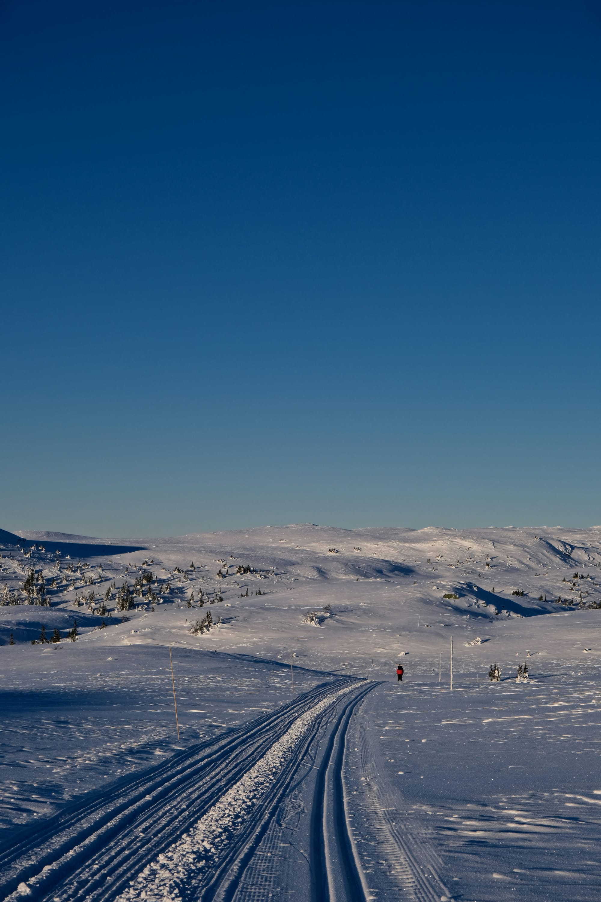 Banff Sunshine Village - Curated Alpine Backcountry Photography